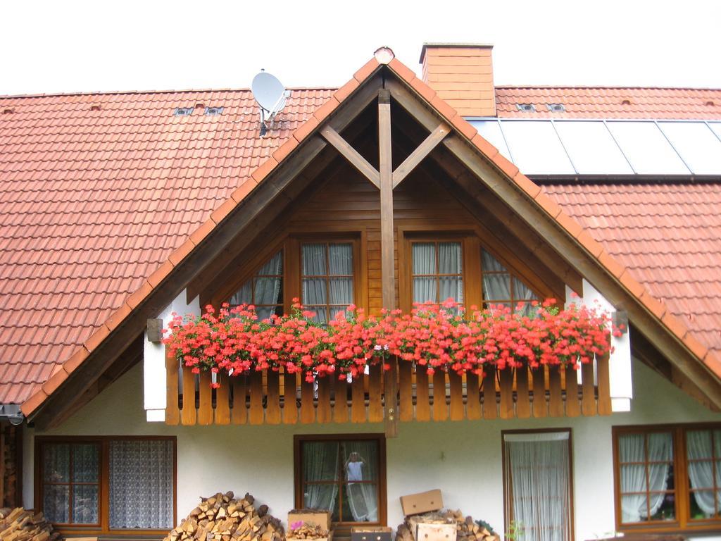 Gaestehaus Faller Hotel Feldberg  Kültér fotó